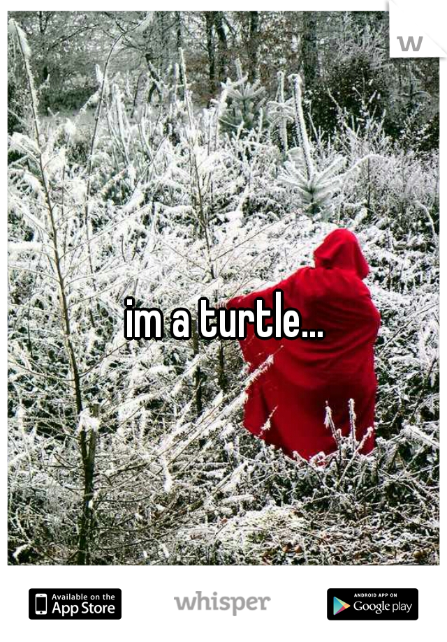 im a turtle...