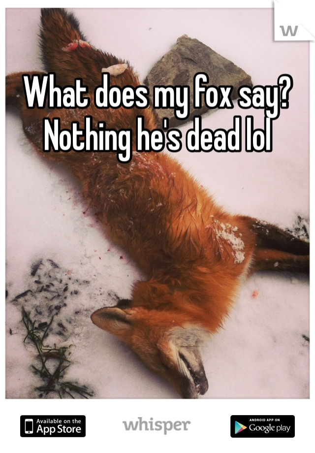 What does my fox say? Nothing he's dead lol