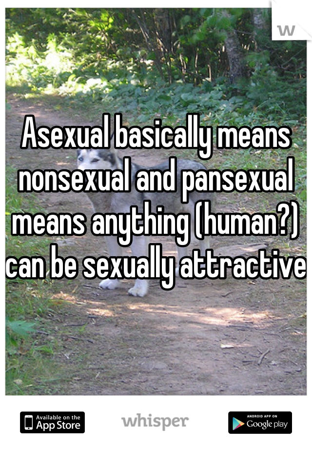Asexual basically means nonsexual and pansexual means anything (human?) can be sexually attractive