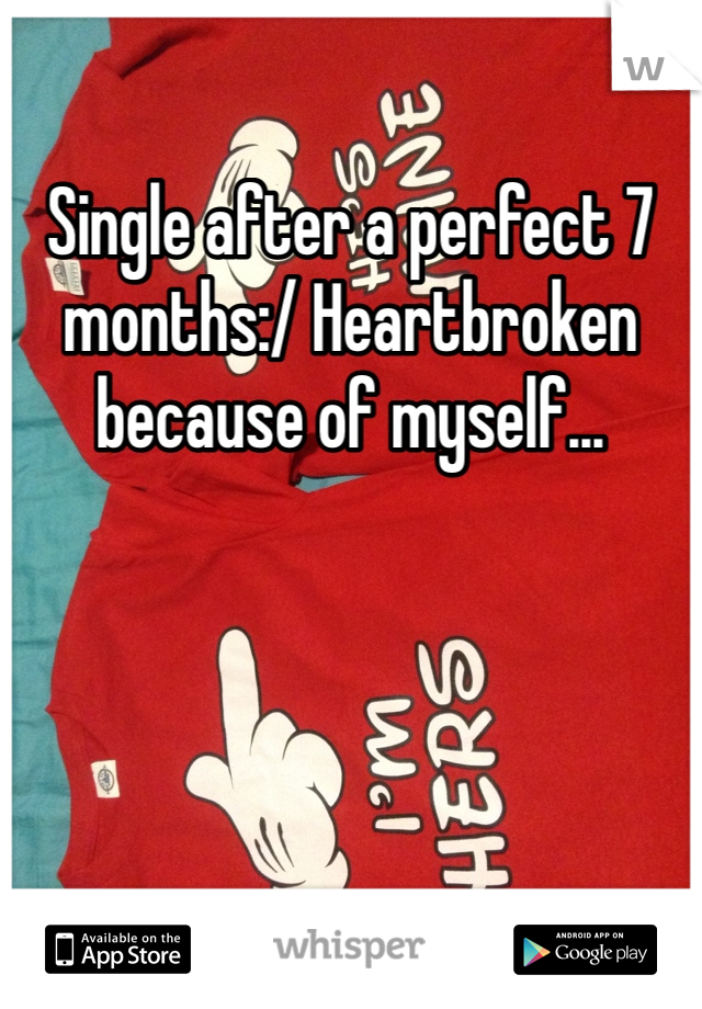 Single after a perfect 7 months:/ Heartbroken because of myself...