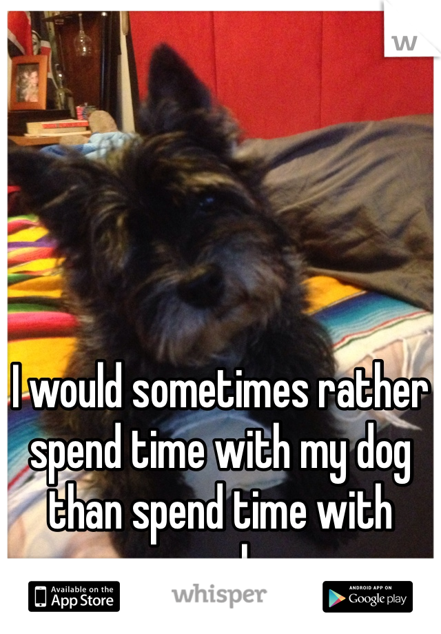 I would sometimes rather spend time with my dog than spend time with people.