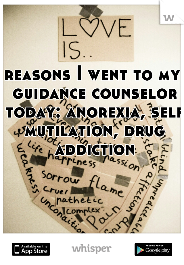 reasons I went to my guidance counselor today: anorexia, self mutilation, drug addiction