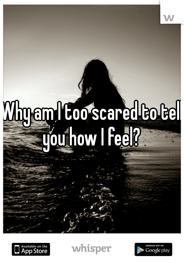 Why am I too scared to tell you how I feel? 