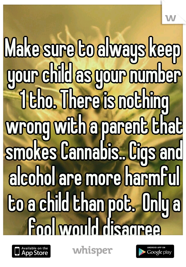 Make sure to always keep your child as your number 1 tho. There is nothing wrong with a parent that smokes Cannabis.. Cigs and alcohol are more harmful to a child than pot.  Only a fool would disagree