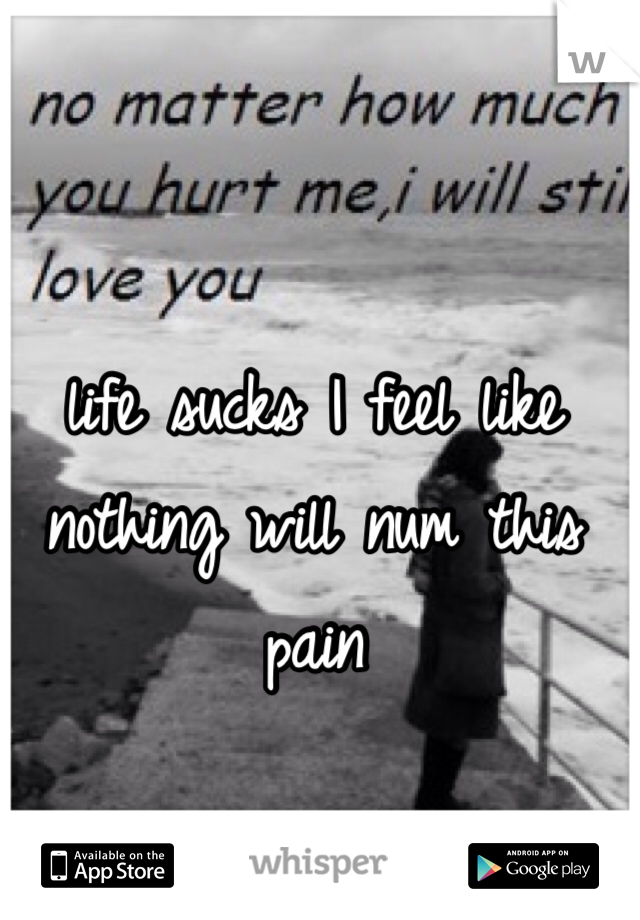 life sucks I feel like nothing will num this pain 
