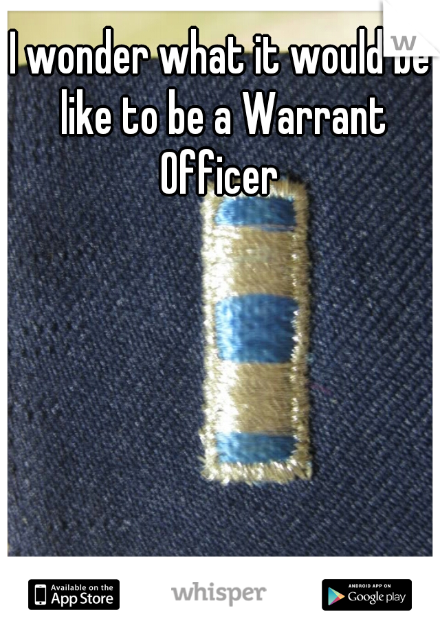 I wonder what it would be like to be a Warrant Officer 