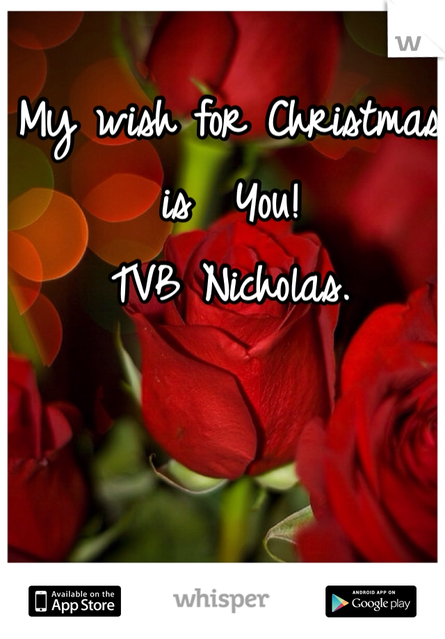 My wish for Christmas is  You! 
TVB Nicholas. 