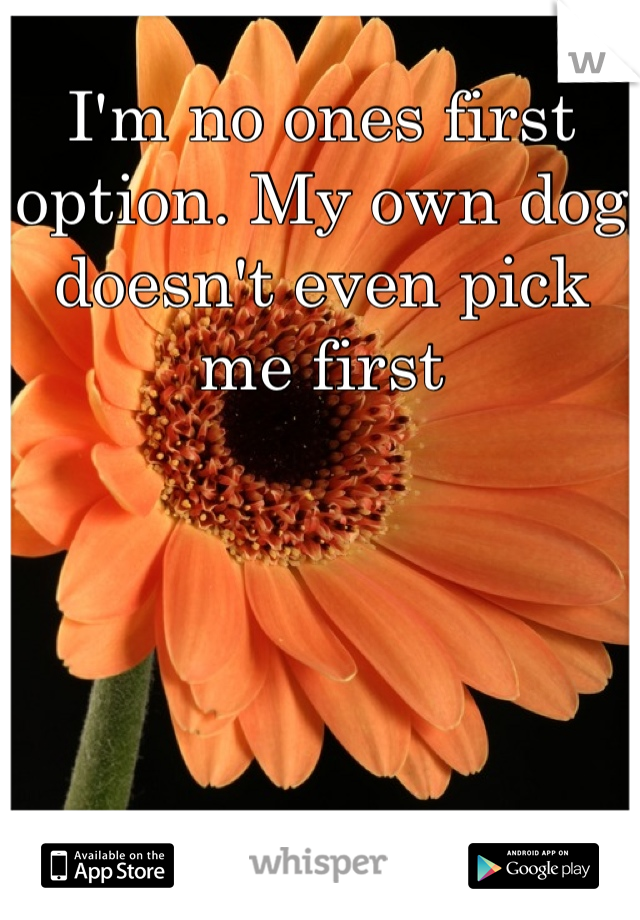 I'm no ones first option. My own dog doesn't even pick me first
