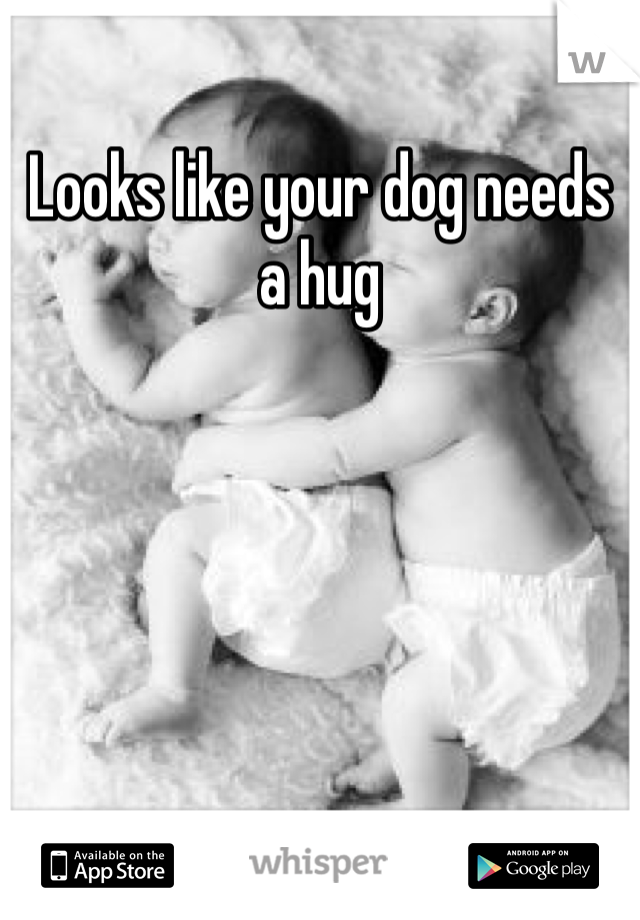 Looks like your dog needs a hug 