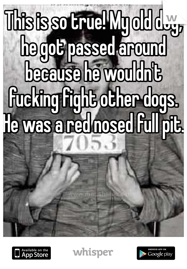 This is so true! My old dog, he got passed around because he wouldn't fucking fight other dogs. He was a red nosed full pit. 