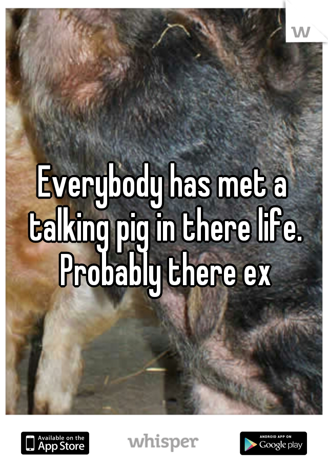 Everybody has met a talking pig in there life. Probably there ex