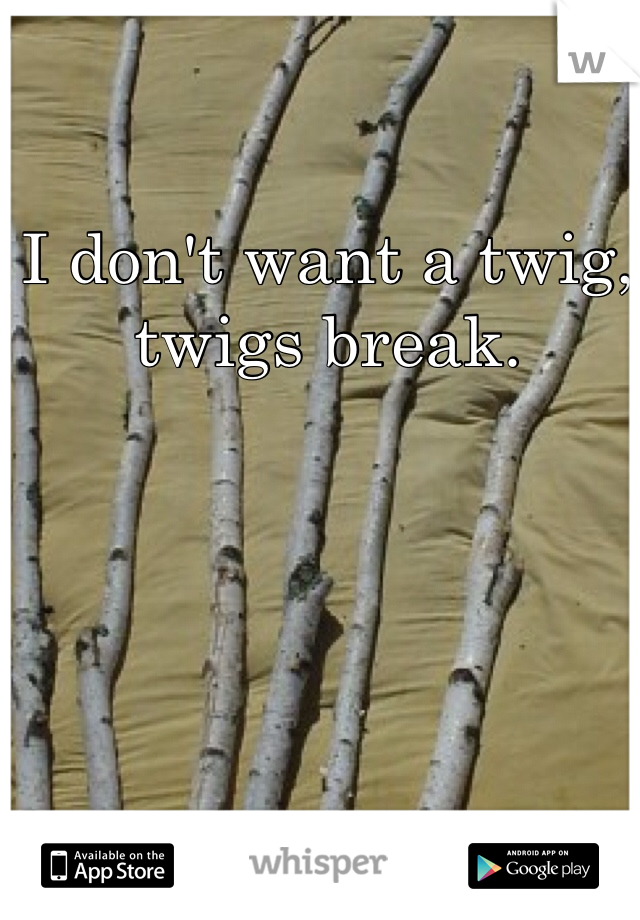 I don't want a twig, twigs break.