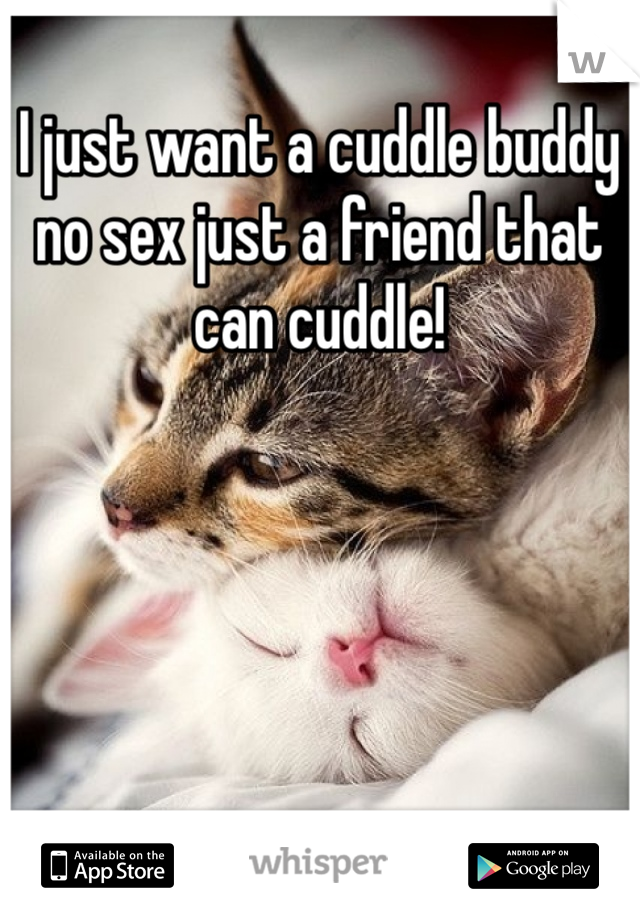I just want a cuddle buddy no sex just a friend that can cuddle! 