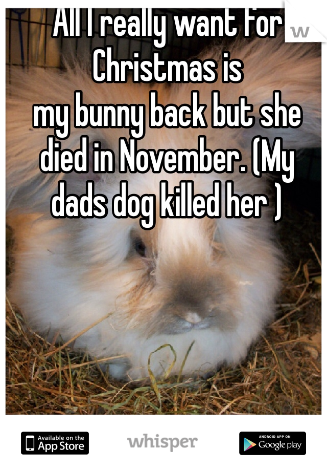 All I really want for Christmas is    
my bunny back but she died in November. (My  dads dog killed her )  
