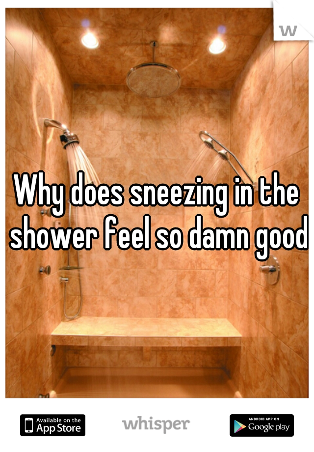 Why does sneezing in the shower feel so damn good?