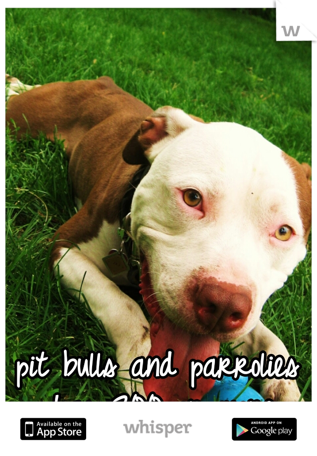 pit bulls and parrolies has 200 or more