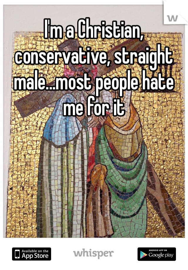I'm a Christian, conservative, straight male...most people hate me for it 