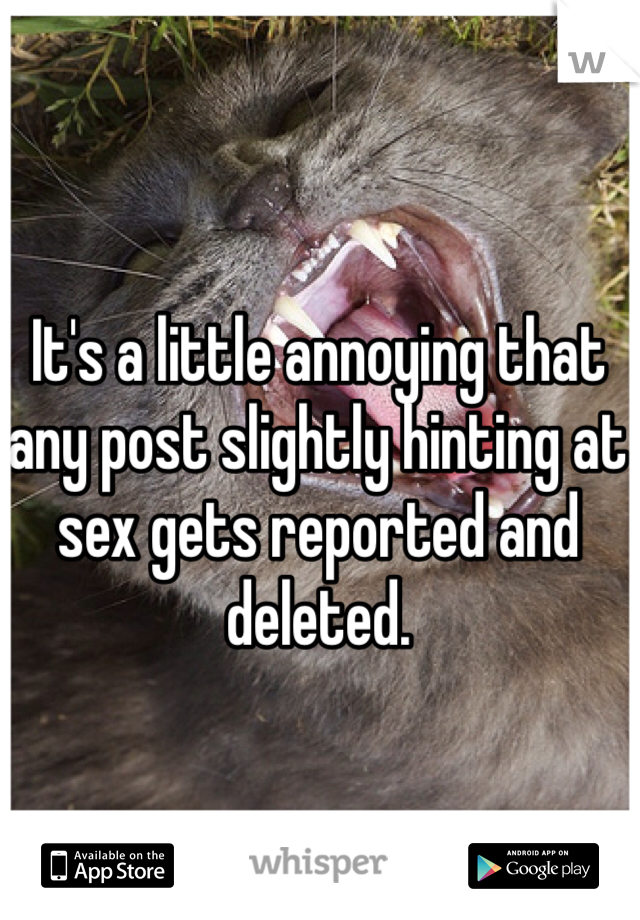 It's a little annoying that any post slightly hinting at sex gets reported and deleted. 