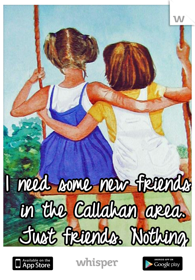 I need some new friends in the Callahan area. Just friends. Nothing more.