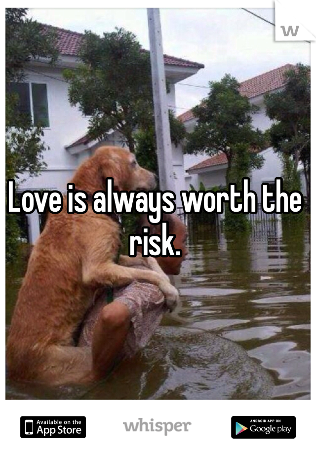 Love is always worth the risk. 