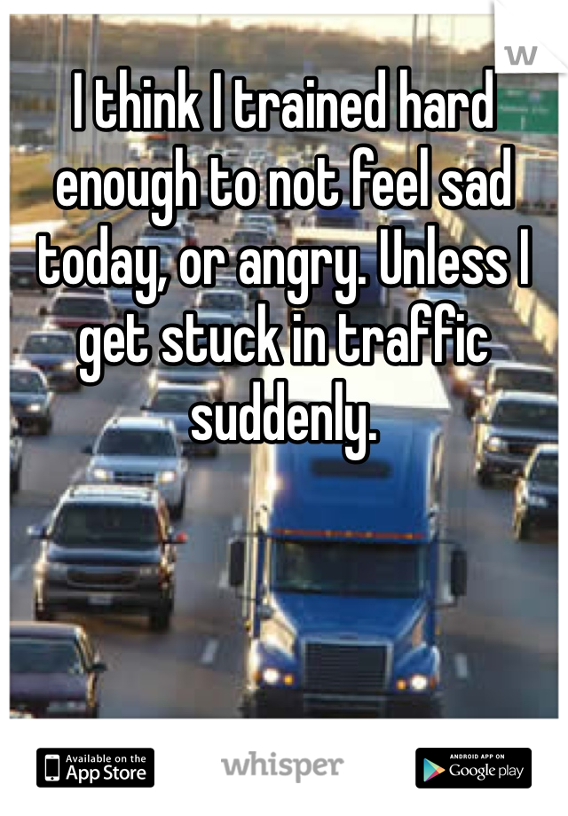 I think I trained hard enough to not feel sad today, or angry. Unless I get stuck in traffic suddenly. 