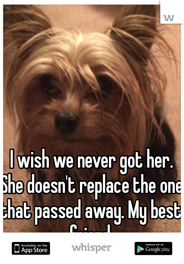 I wish we never got her. She doesn't replace the one that passed away. My best friend. 