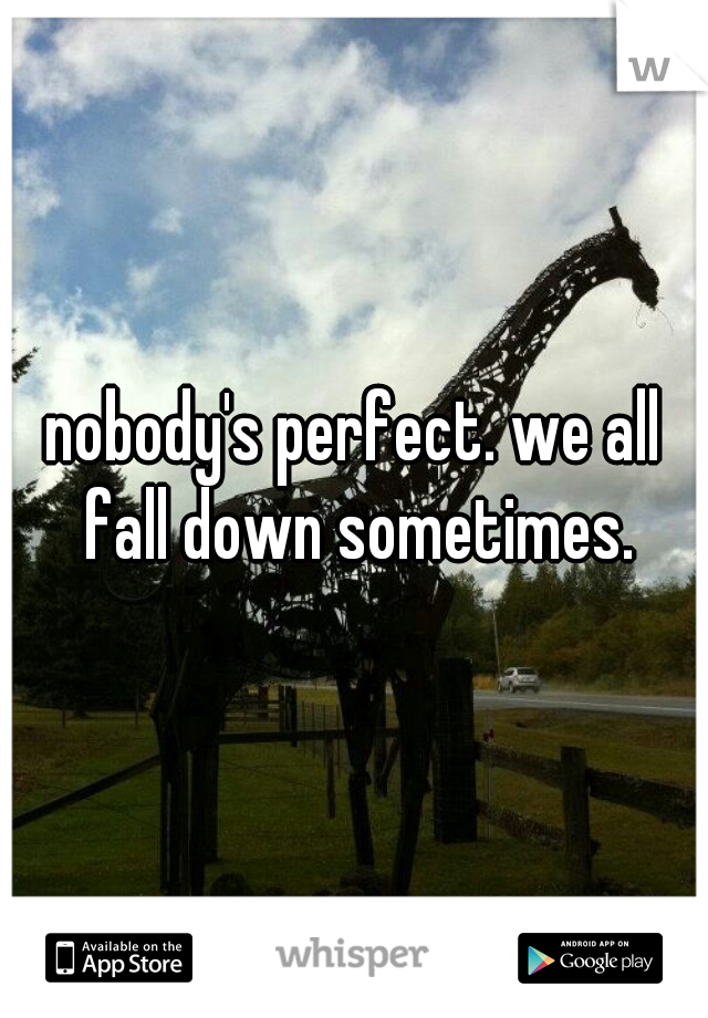 nobody's perfect. we all fall down sometimes.