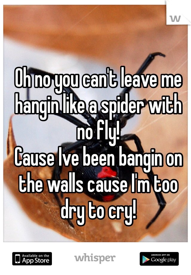 Oh no you can't leave me hangin like a spider with no fly!
Cause Ive been bangin on the walls cause I'm too dry to cry!