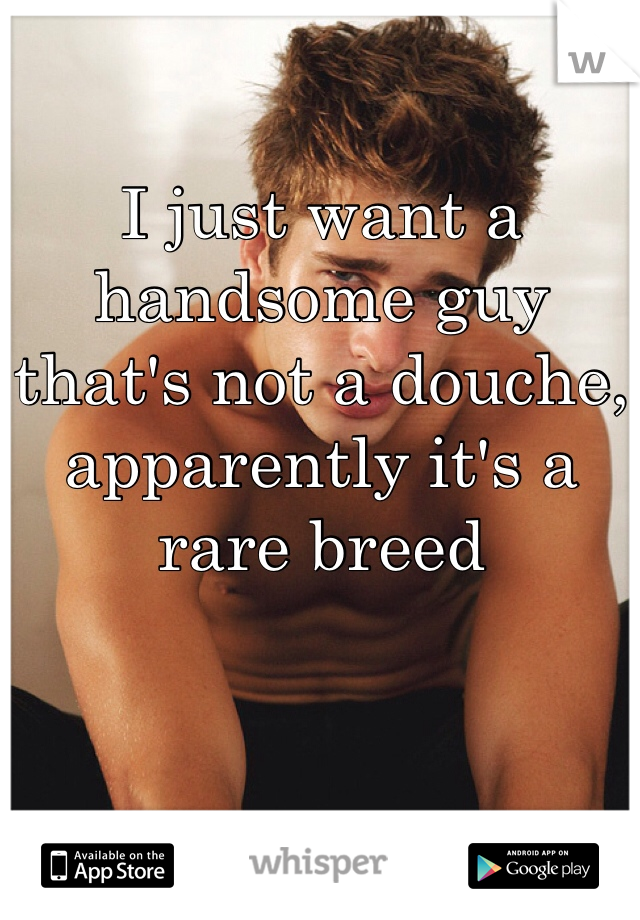 

I just want a handsome guy that's not a douche, apparently it's a rare breed 