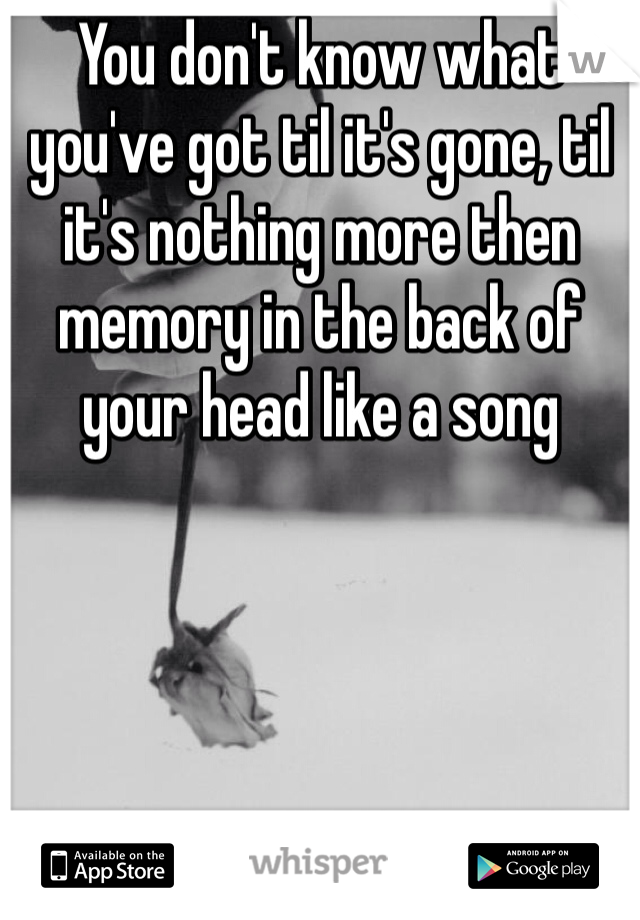 You don't know what you've got til it's gone, til it's nothing more then memory in the back of your head like a song