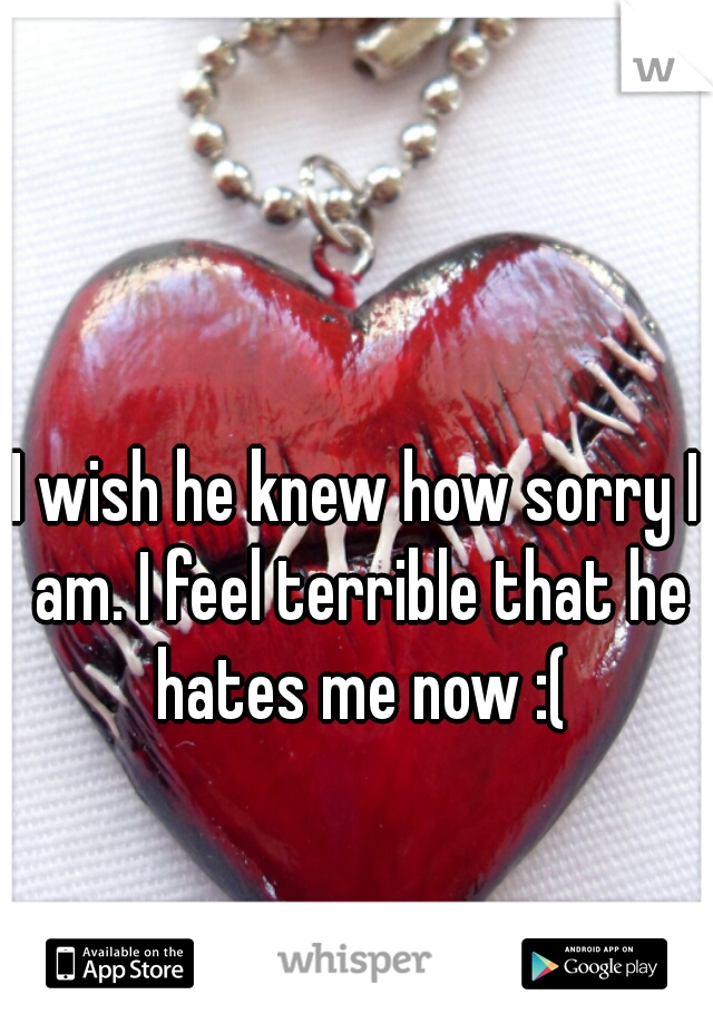 I wish he knew how sorry I am. I feel terrible that he hates me now :(