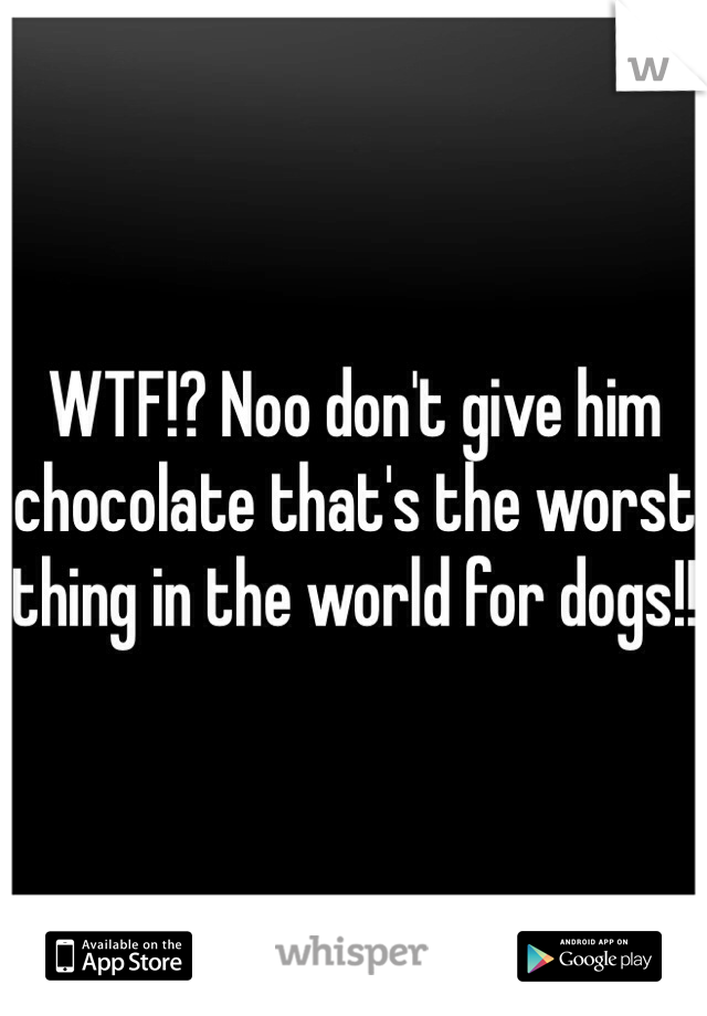 WTF!? Noo don't give him chocolate that's the worst thing in the world for dogs!!