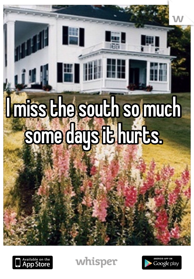 I miss the south so much some days it hurts. 