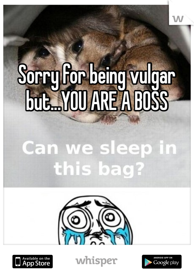 Sorry for being vulgar but...YOU ARE A BOSS