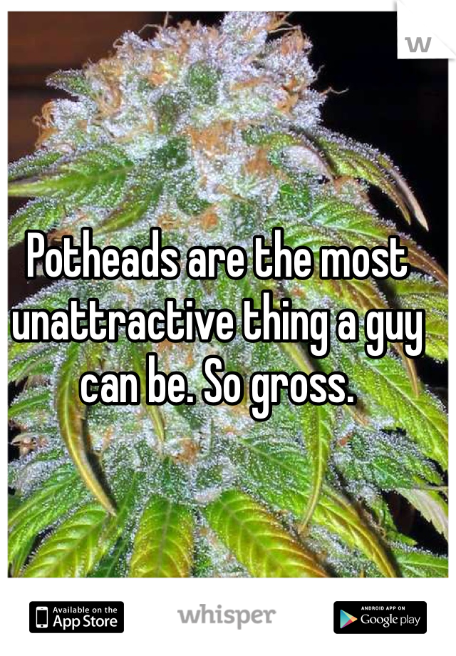 Potheads are the most unattractive thing a guy can be. So gross. 