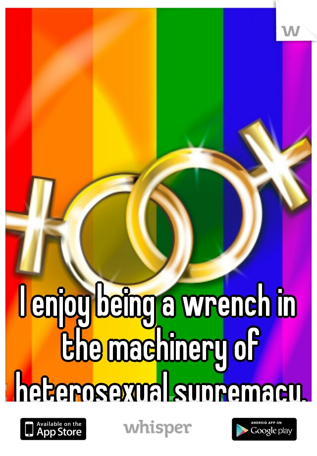 I enjoy being a wrench in the machinery of heterosexual supremacy.