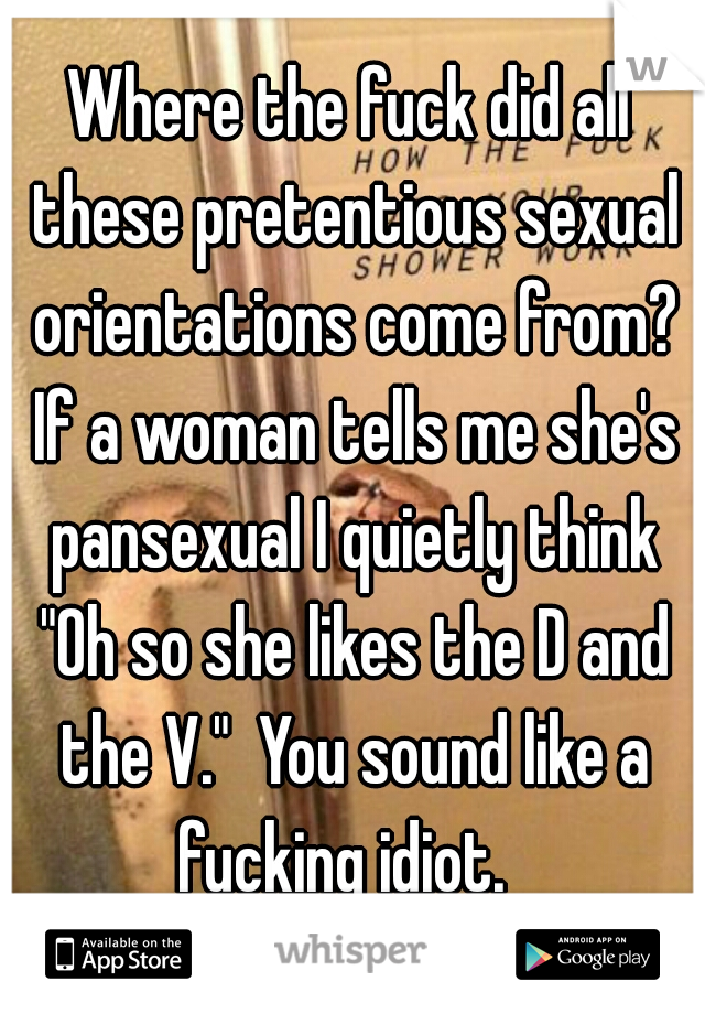Where the fuck did all these pretentious sexual orientations come from? If a woman tells me she's pansexual I quietly think "Oh so she likes the D and the V."  You sound like a fucking idiot.  