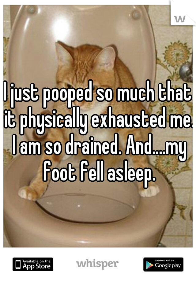 I just pooped so much that it physically exhausted me. I am so drained. And....my foot fell asleep.