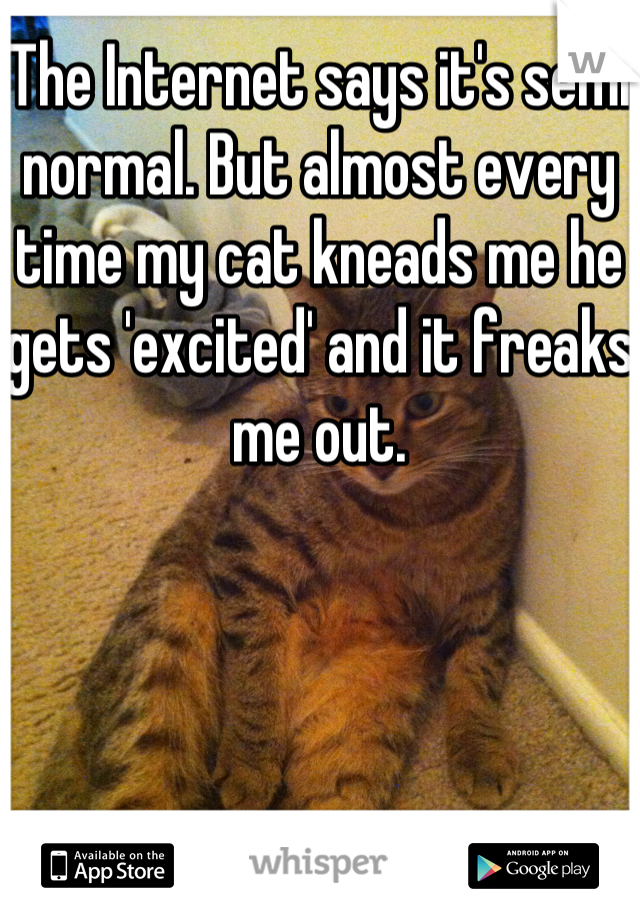 The Internet says it's semi normal. But almost every time my cat kneads me he gets 'excited' and it freaks me out.