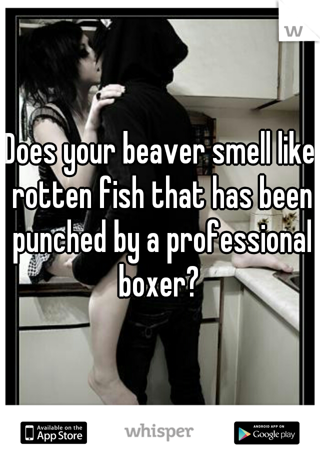 Does your beaver smell like rotten fish that has been punched by a professional boxer? 