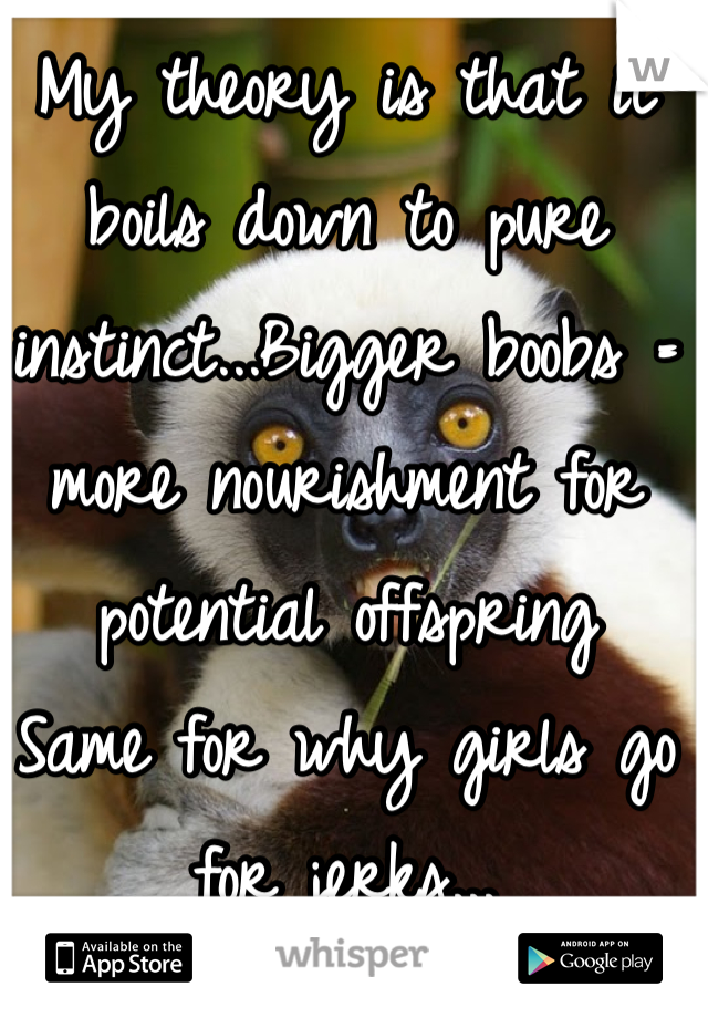 My theory is that it boils down to pure instinct...Bigger boobs = more nourishment for potential offspring
Same for why girls go for jerks...