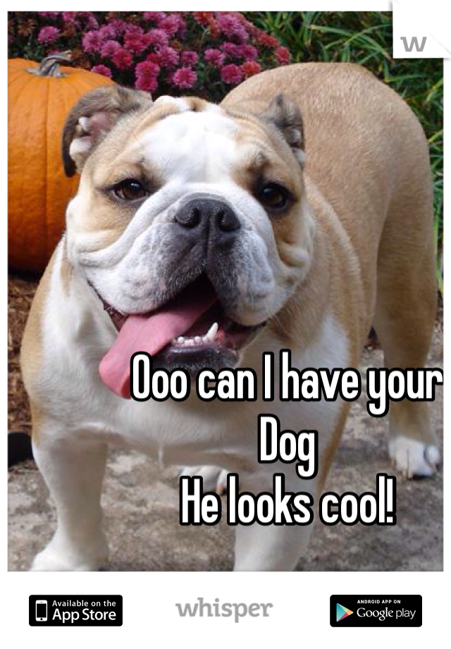 Ooo can I have your
Dog
He looks cool!