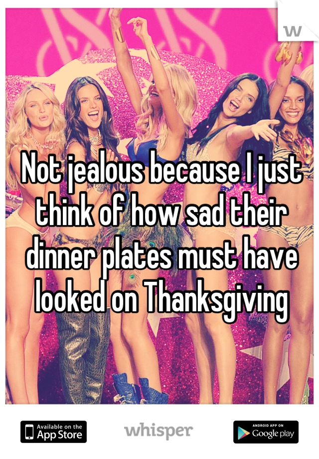 Not jealous because I just think of how sad their dinner plates must have looked on Thanksgiving