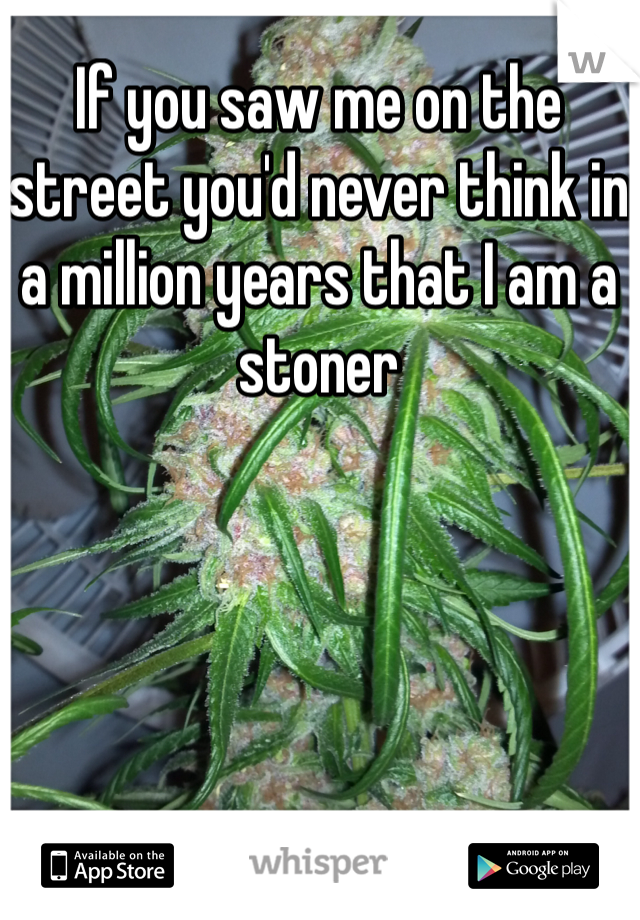 If you saw me on the street you'd never think in a million years that I am a stoner 