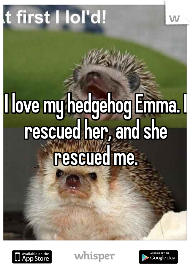 I love my hedgehog Emma. I rescued her, and she rescued me.