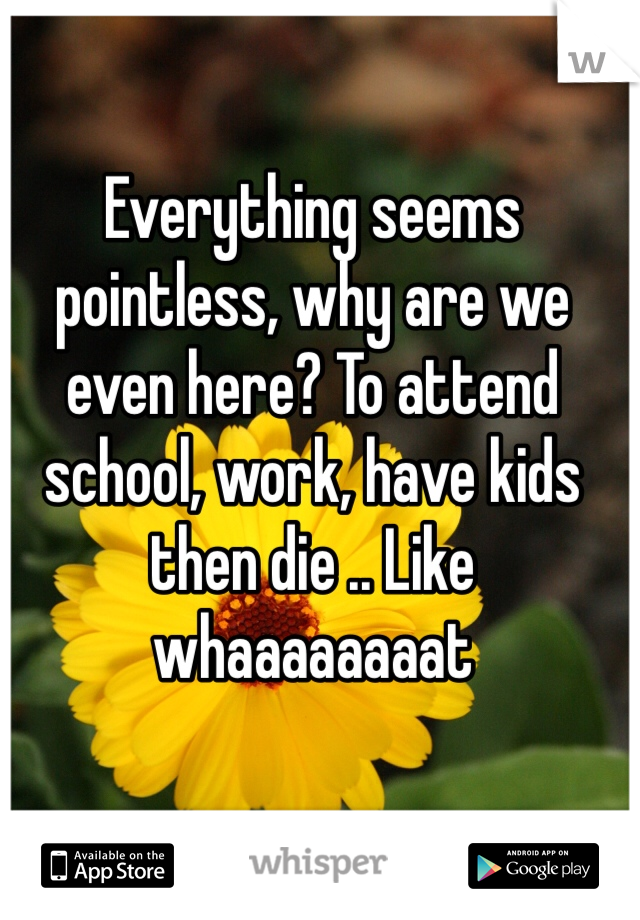 Everything seems pointless, why are we even here? To attend school, work, have kids then die .. Like whaaaaaaaat