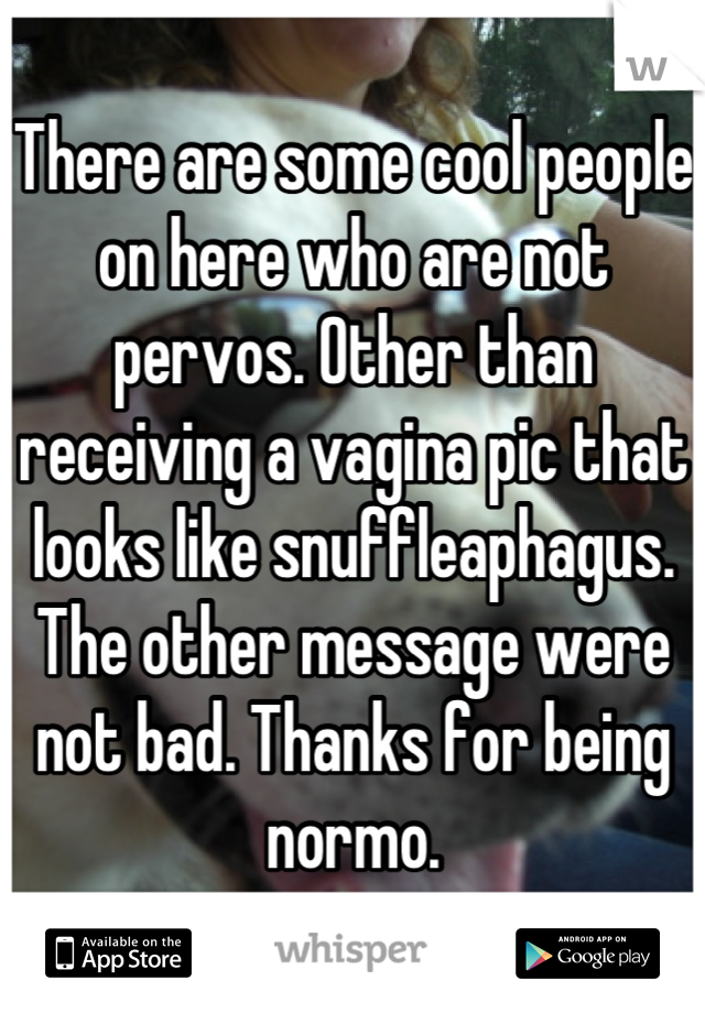 There are some cool people on here who are not pervos. Other than receiving a vagina pic that looks like snuffleaphagus. The other message were not bad. Thanks for being normo.