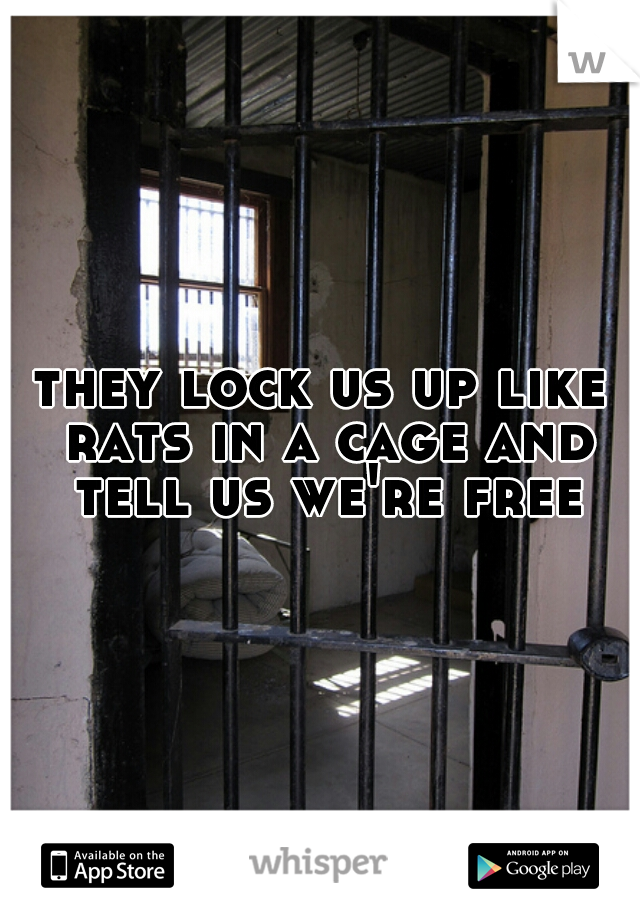 they lock us up like rats in a cage and tell us we're free
