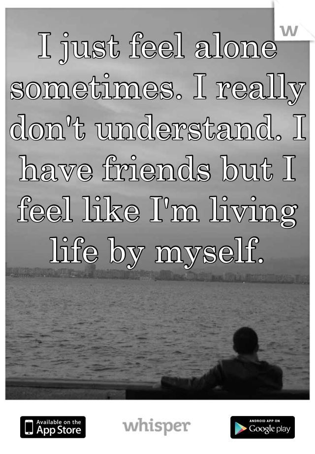 I just feel alone sometimes. I really don't understand. I have friends but I feel like I'm living life by myself. 