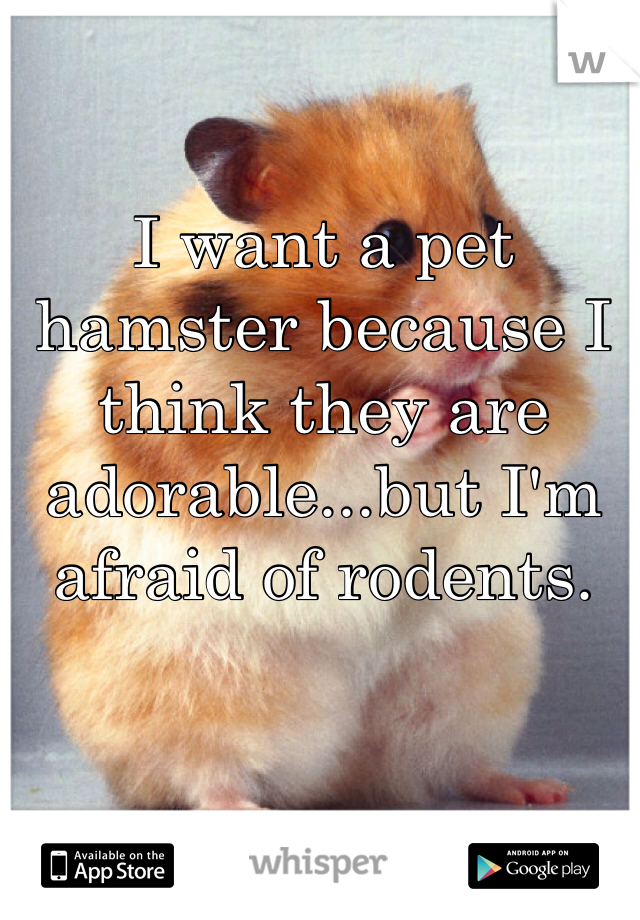 I want a pet hamster because I think they are adorable...but I'm afraid of rodents. 